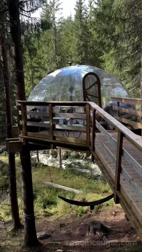 dreamtravelvoyages's review preview (Hvilepust Treetop Igloo)