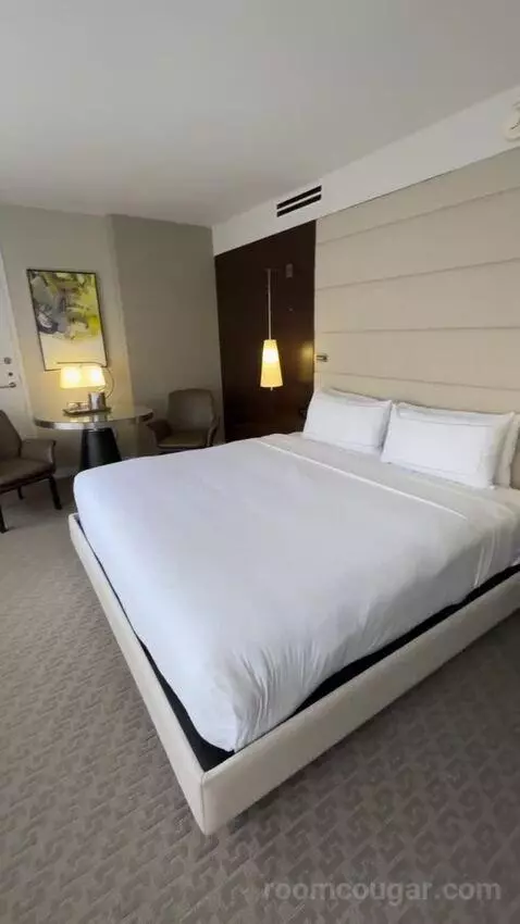 adventuringcam's review preview (The Statler Dallas, Curio Collection By Hilton)