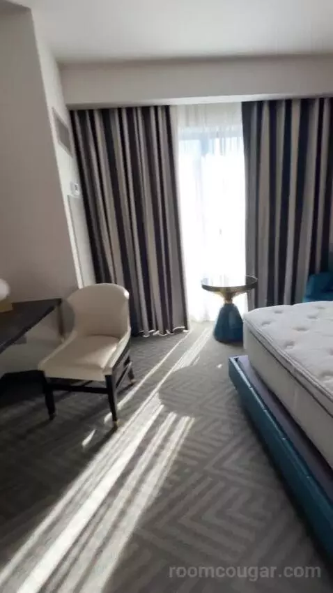 adventuringcam's review preview (The Cosmopolitan Of Las Vegas)