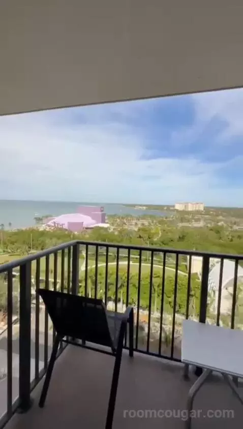 gotravel's review preview (Hyatt Regency Sarasota)